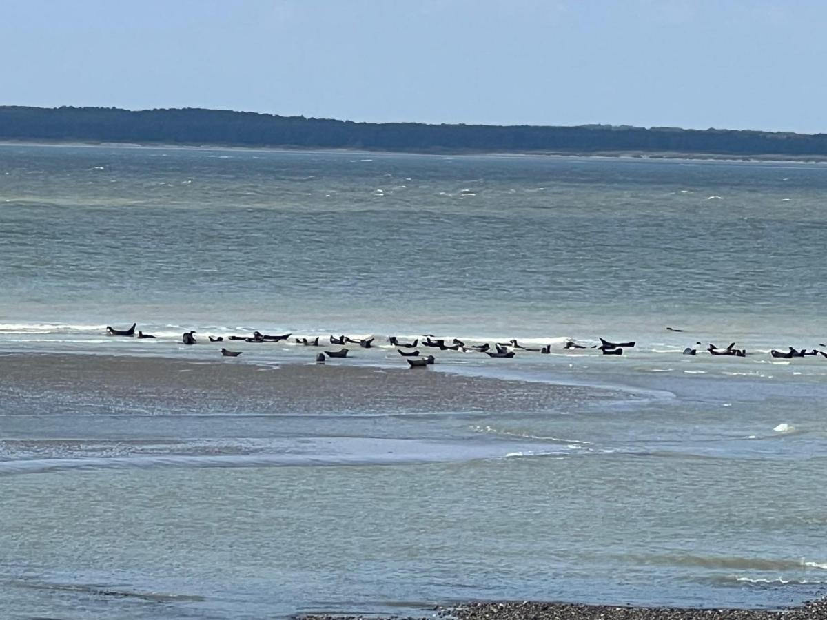 Villa Saint Jacques, Appart La Mer Le Tréport Zewnętrze zdjęcie